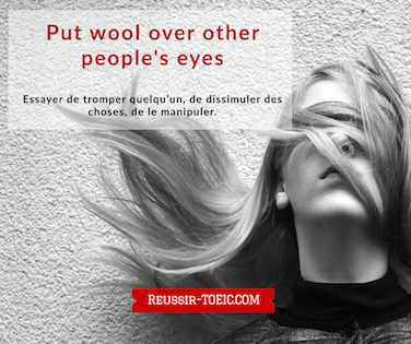  Put wool over other people's eyes 